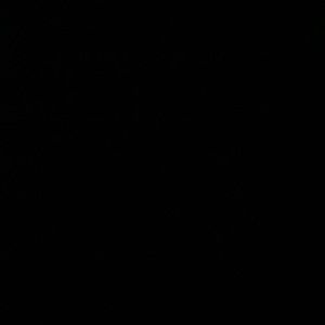 Meet your Posher, Traci